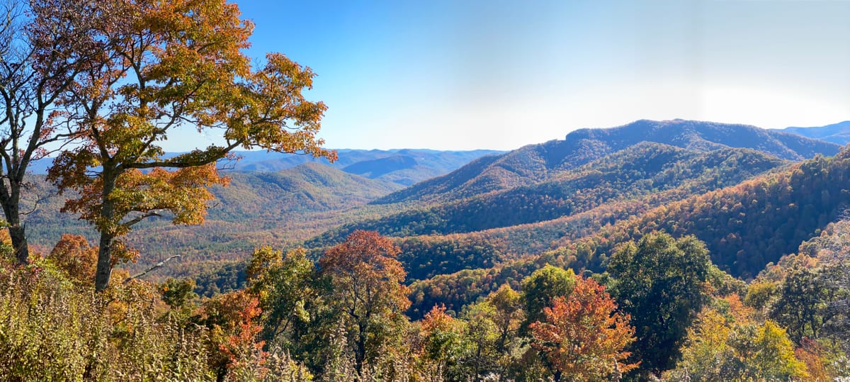 Resource: Fall Foliage Prediction Map