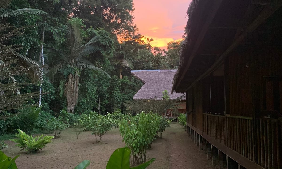 On Location: Tambopata Research Center, Peru