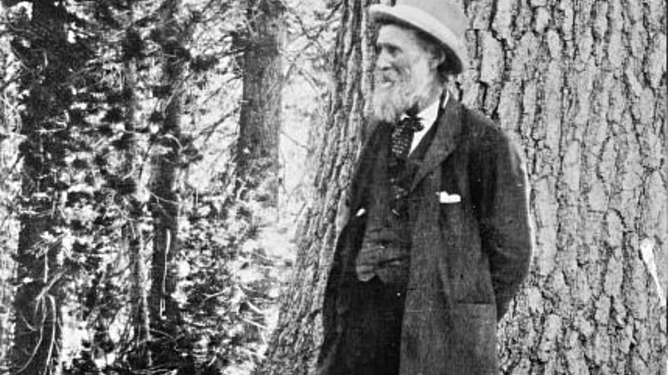 Read: John Muir's 1897 Case for Saving America's Forests