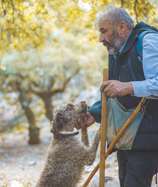 See: Truffle Hunting, Crete