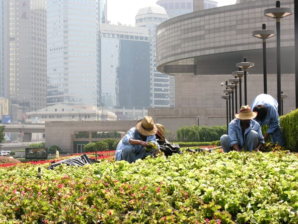 Time Travel: Shanghai, 2005