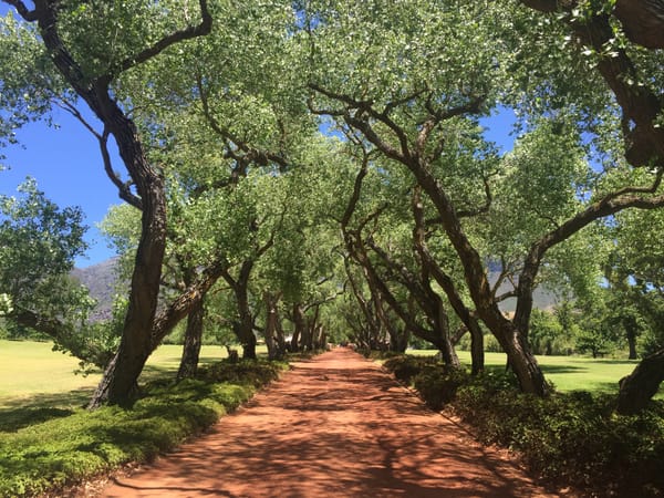 On Location: Stellenbosch: Heart of South African Wine