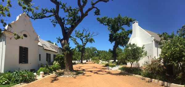 Beauty: Anthonij Rupert Wine Farm, Franschhoek, South Africa