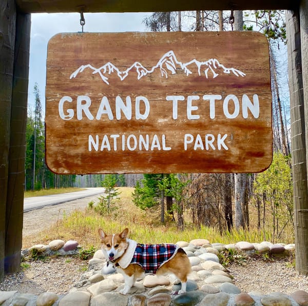 Intel: Pet Friendly National Parks